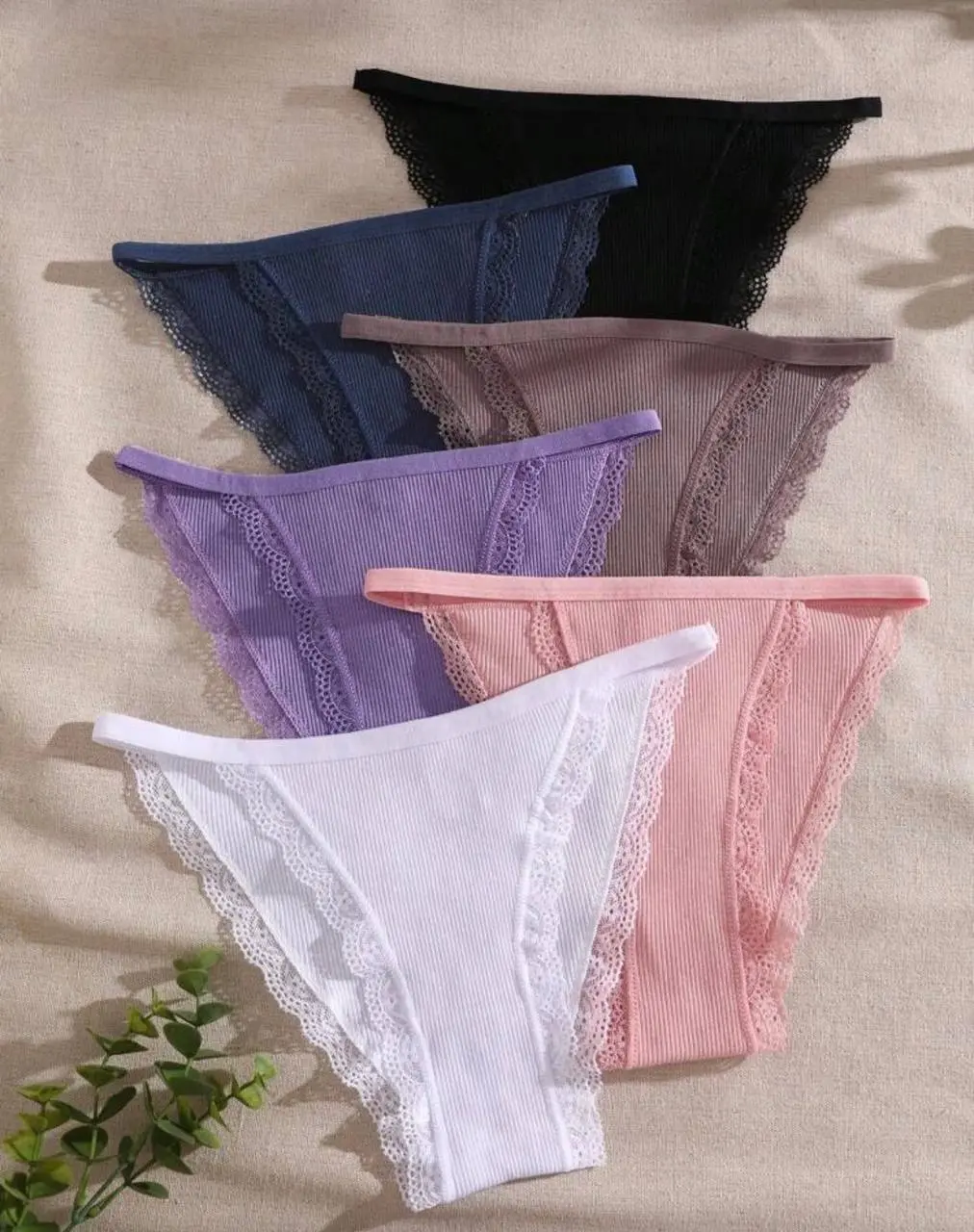 Shein 6pcs Minimalist Solid Color Lace Trim Bikini Panties Set - Image 3